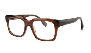 Men Vista Eyeglasses: Ridley - Transparent Brown/Tortoise SpecSMART Eye Clinic (side View)